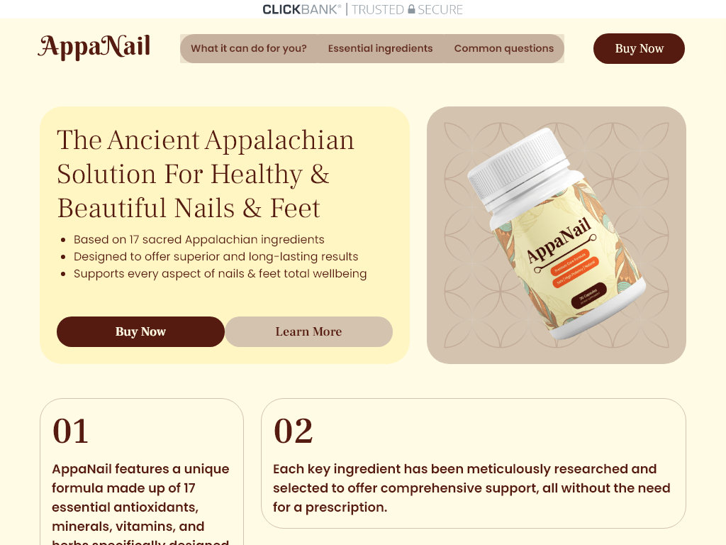 APPANAIL REVIEW | MY 90 DAY HONEST REPORT