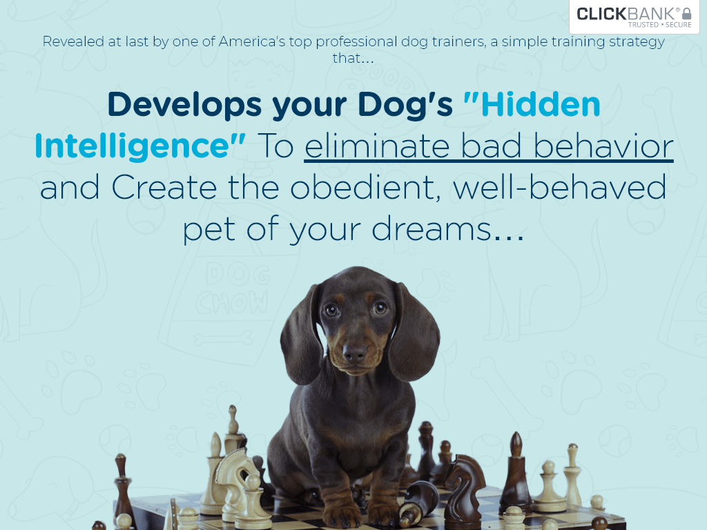 BRAIN TRAINING FOR DOGS REVIEW – WHY YOU SHOULD TRY IT TODAY