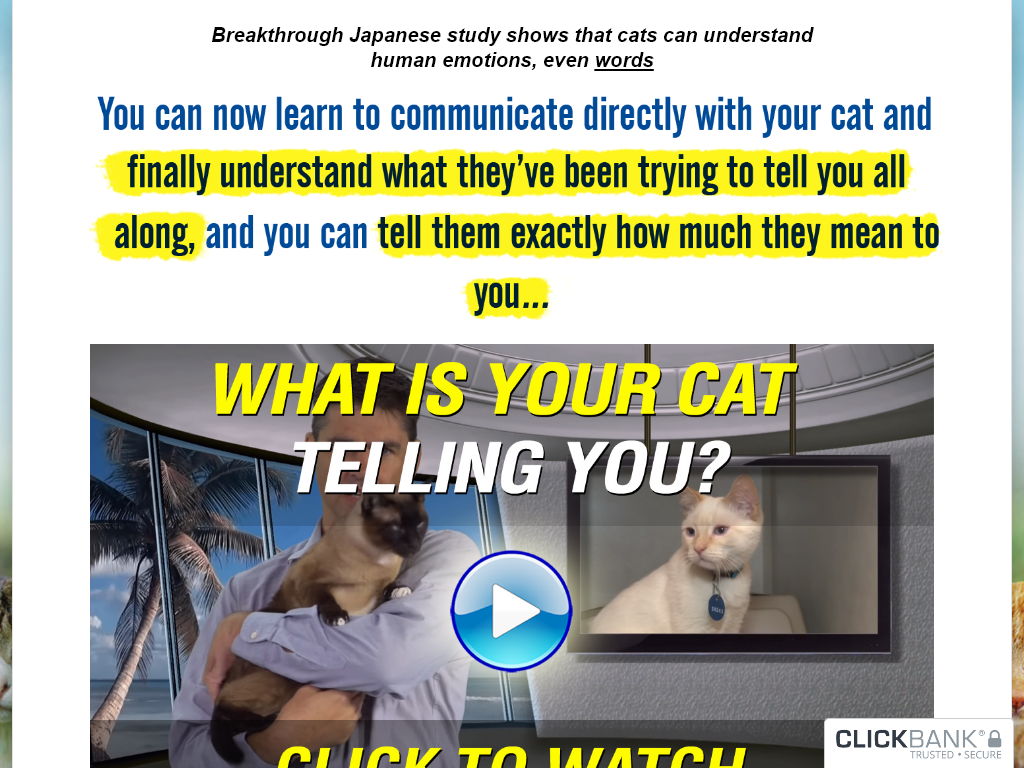 CAT LANGUAGE BIBLE REVIEW | RESULTS THAT APPEARED OVERNIGHT