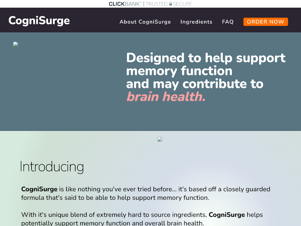 COGNISURGE REVIEW – MY 24 HOUR RESULT SCARED ME