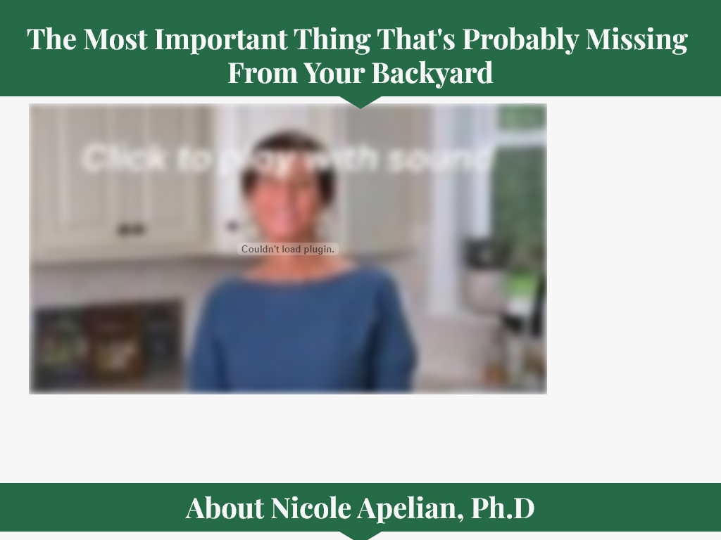 Visit The Official Website