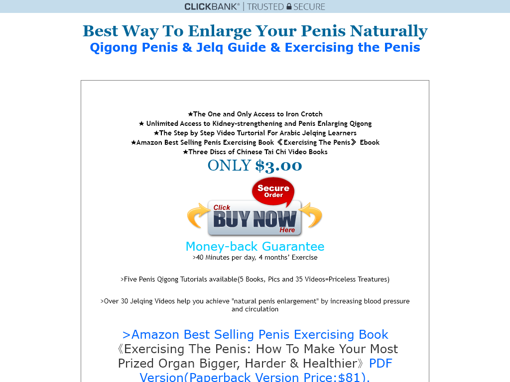 ROCKDICK EBOOKS REVIEW : HOW IT ACTUALLY FEELS TO USE IT