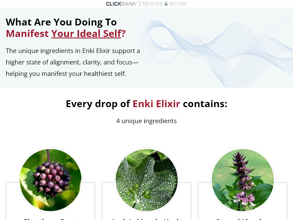 ENKI ELIXIR REVIEW : HOW LONG DID RESULTS TAKE?