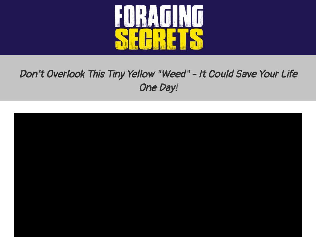 FORAGING SECRETS REVIEW – I FOUND THE SWEET SPOT