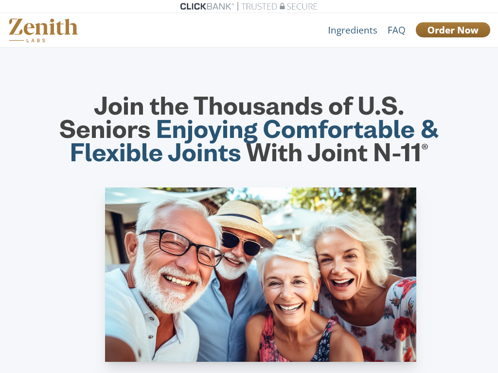 JOINT N-11 REVIEW – MY SUCCESS STORY BEGINS HERE