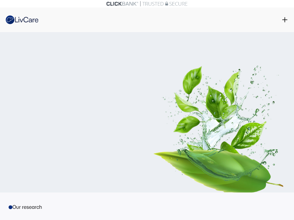 Visit The Official Website