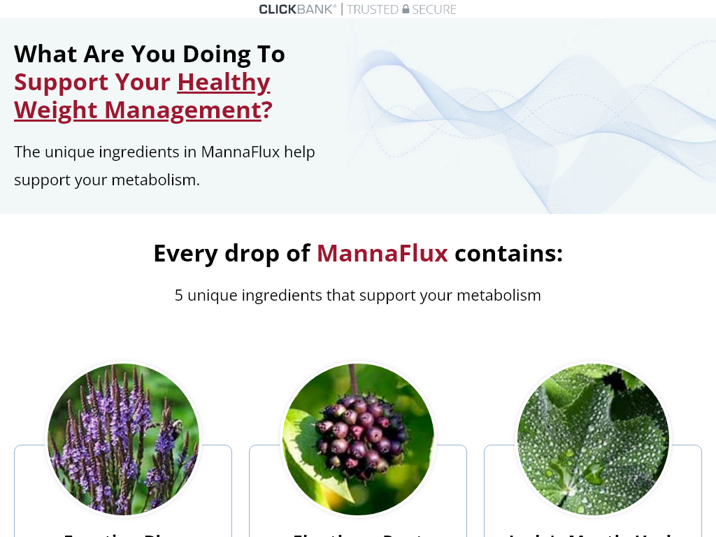 MANNAFLUX REVIEW – MY ONE MONTH TRANSFORMATION LEAKED