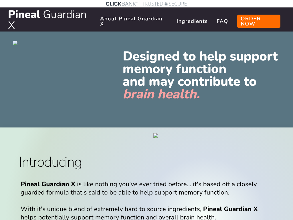 PINEAL GUARDIAN X REVIEW – HOW IT IMPROVED MY DAILY FOCUS