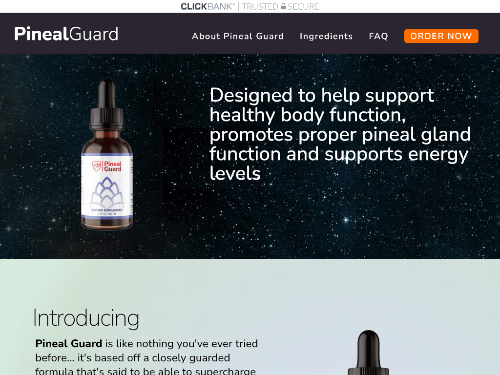 PINEAL GUARD REVIEW : THE 24 HOUR SHOCK FACTOR
