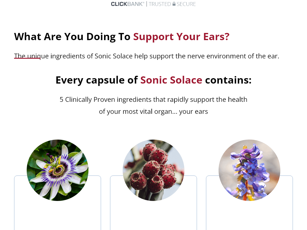 SONIC SOLACE REVIEW – THE BEST GIFT I GAVE MYSELF