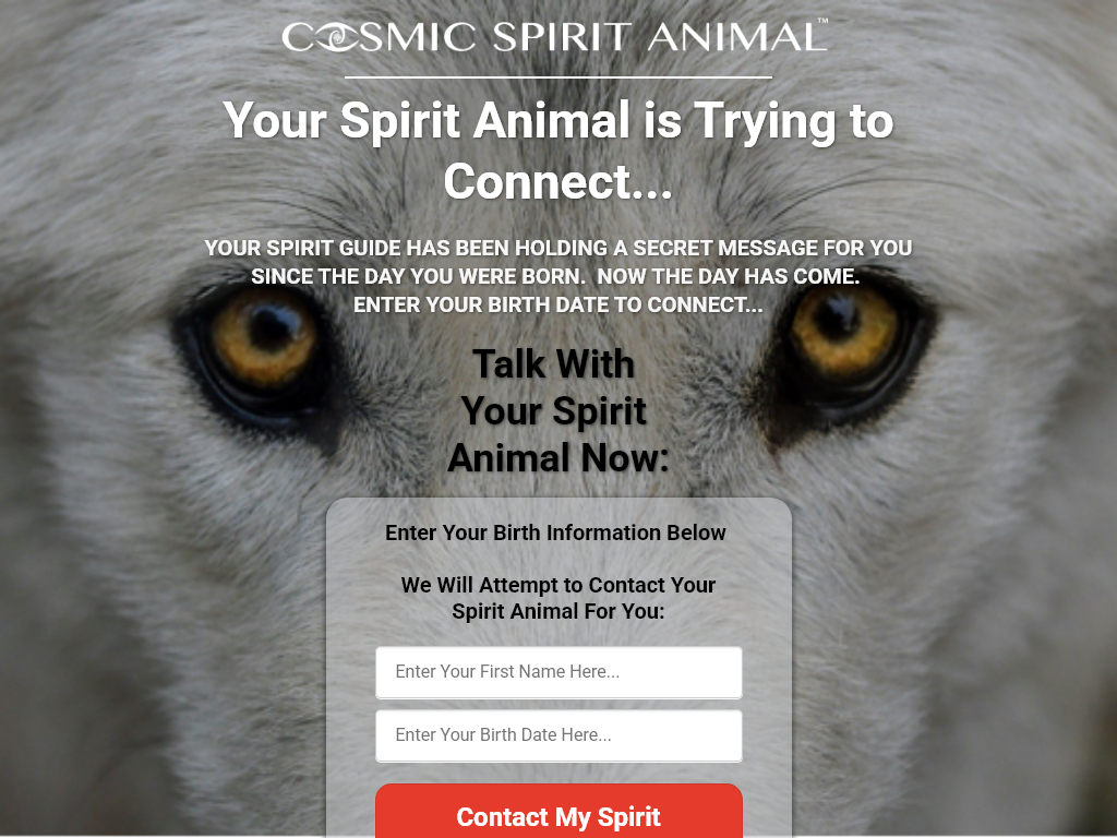 COSMIC SPIRIT ANIMAL REVIEW : THE 24 HOUR DIFFERENCE IS HUGE