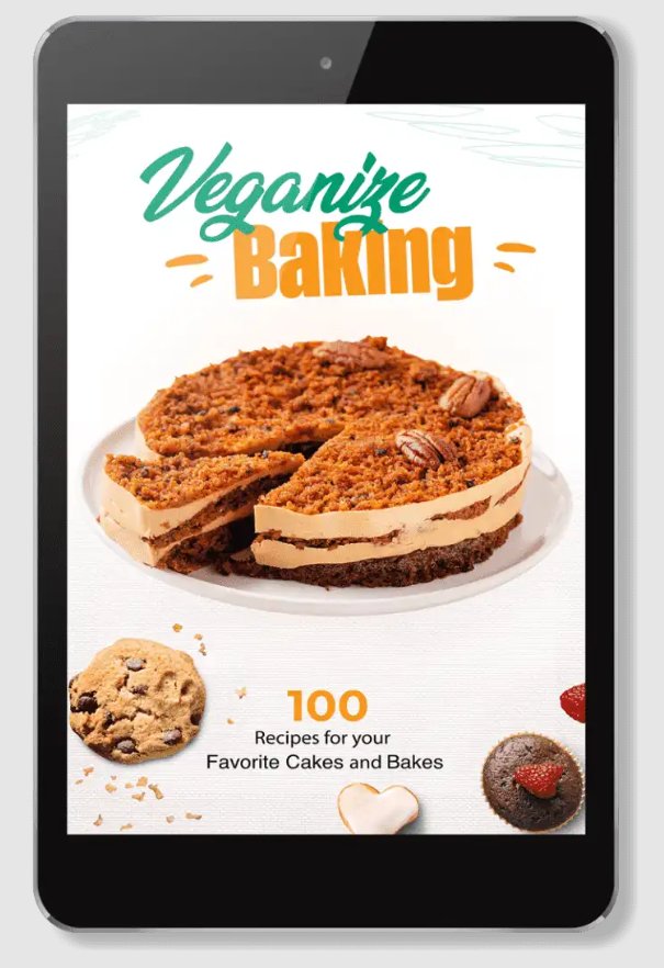 VEGANIZE BAKING REVIEW – MY DAILY USE FOR 6 MONTHS